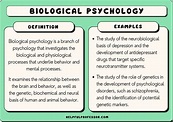 10 Biological Psychology Examples (2024)