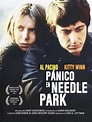 Pánico en Needle Park | SincroGuia TV