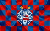 Bahia Fc, Esporte Clube Bahia, 4k, Logo, Creative Art, - Esporte Clube ...