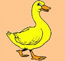 Dibujos de animales patos - Imagui
