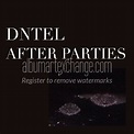 Album Art Exchange - After Parties, Vol. 2 by Dntel - Album Cover Art