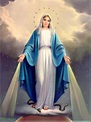 Por que devemos conhecer a Virgem Maria? | Todo de Maria