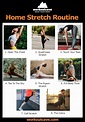 Home Stretch Routine | Destination for fitness and wellness