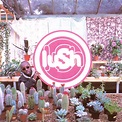 Lush - Lovelife | Releases, Reviews, Credits | Discogs