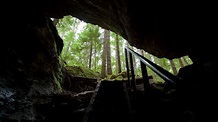 Horne Lake Caves Provincial Park in Bowser, British Columbia | Expedia