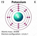 Representación en diagrama del elemento potasio Stock Vector by ...