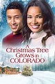 A Christmas Tree Grows in Colorado | Christmas in July