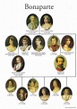 Bonaparte Family Genealogical Tree. | Napoleon, Royal family trees ...