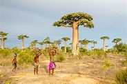 Madagascar in brief - Life & Travel Documentary