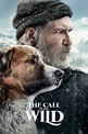 The Call of the Wild (2020) - Posters — The Movie Database (TMDB)