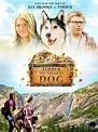 Reparto de Timber the Treasure Dog (película 2016). Dirigida por Ari ...