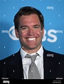 Michael Weatherly attending the CBS 2012 Fall Premiere Party held at ...