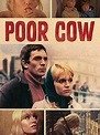 Watch Poor Cow | Prime Video