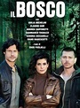 Il Bosco (Miniserie de TV) (2015) - FilmAffinity