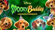 Ver Spooky Buddies: Cachorros Embrujados | Película completa | Disney+