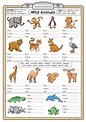 Wild Animals - Reading & Writin…: English ESL worksheets pdf & doc