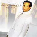 Gary Numan – The Fury (1999, CD) - Discogs