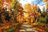 When Is the First Day of Fall? Fun Facts About the Fall Equinox ...