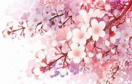 轉呀轉 小花 - [塗-練習]櫻花(日本品種的)(其他下收 - Plurk