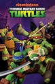 Teenage Mutant Ninja Turtles - Official TV Series | Nick