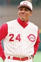 Tony Perez Cincinnati Reds | Cincinnati reds baseball, Cincinnati ...