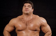 Don Muraco - Where Are They Now? Your Favorite WWE Stars of the '80s ...