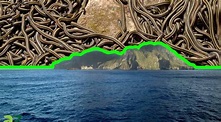 Snake Island: la vera storia dell'isola più infestata da serpenti sulla ...