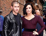 Demi Lovato and Nick Jonas' Run-In With Cops and a Thief!