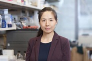 The Nai-Kong Cheung Lab: Linlin Wang | Memorial Sloan Kettering Cancer ...