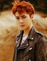 Update: EXO’s Sehun Rocks The Bad Boy Look And More In Teasers For “Don ...