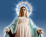 08 de Diciembre día de la Inmaculada Concepción de la Virgen María ...