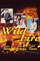 Cartel de la película Wildfire - Foto 1 por un total de 1 - SensaCine.com