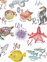 Sea Animals Alphabet Print A-Z Sea Creatures Nursery Art - Etsy