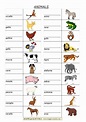 MAPPE per la SCUOLA: ANIMALI IN INGLESE