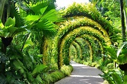 National Orchid Garden in Singapore - Singapore Attractions – Go Guides