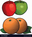 Apples and oranges Royalty Free Vector Image - VectorStock