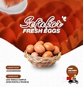 Fresh Eggs flyer design | Fresh eggs, Eggs, Fresh