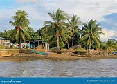 Barcos De Pesca Y Casas Tradicionales, Río De Cayapas, Provincia De ...