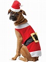 Disfraces navideños para Perros: El regalo ideal para tu mascota