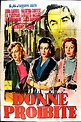 Reparto de Donne proibite (película 1954). Dirigida por Giuseppe Amato ...