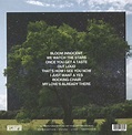 Fink (UK): Bloom Innocent (CD) – jpc