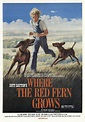 Where the Red Fern Grows (1974) - Plot - IMDb