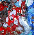 Trey Gunn - I'll Tell What I Saw (2010, CD) | Discogs