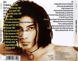MUSICOLLECTION: TERENCE TRENT D'ARBY - Greatest Hits + Extended ...