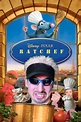 35 Funniest Ratatouille Memes To Cook Up A Smile – FandomSpot