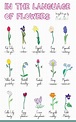 The Victorian Language of Flowers allowed 19th-century lovers (or ...