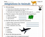 Science Worksheets For The Animal Adaptations