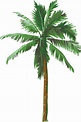 Vinilo para salón dibujo palmera | Palmera dibujo, Arte de palmera, Tutoriales de acuarela