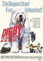 Digby, the Biggest Dog in the World (1973) - FilmAffinity