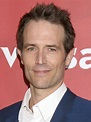 Michael Vartan Pictures - Rotten Tomatoes